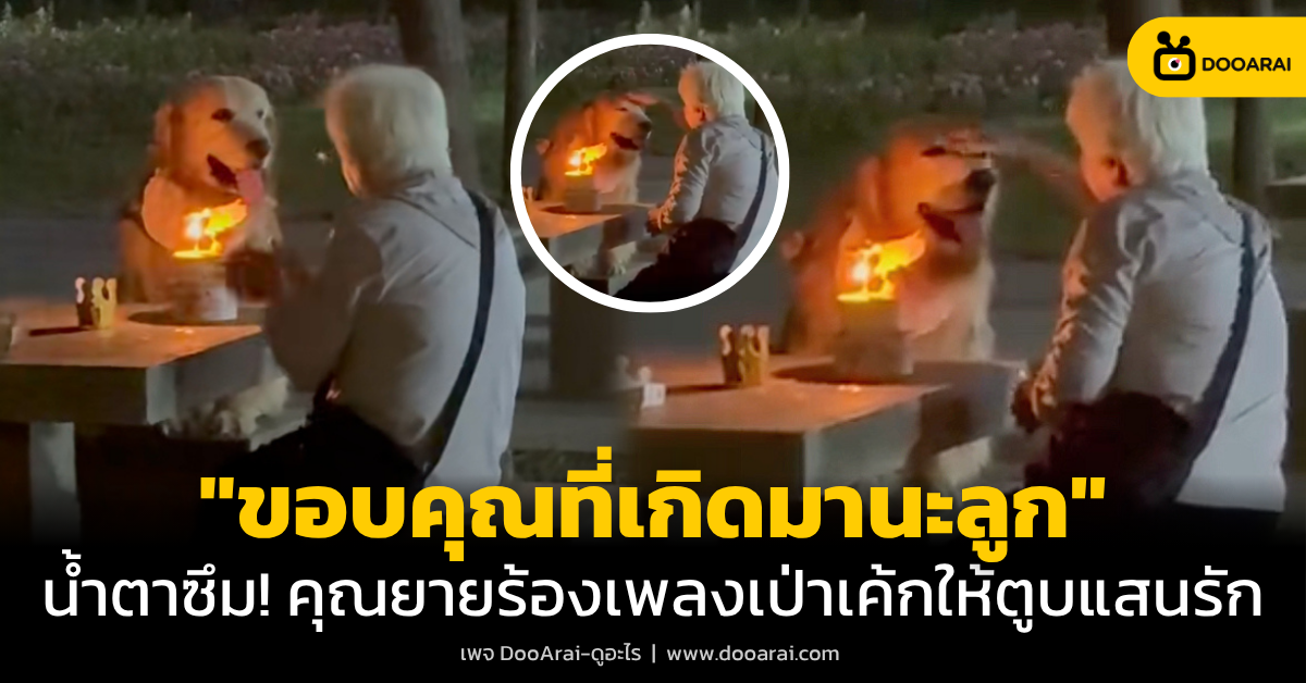 DooArai FB Article 2 4