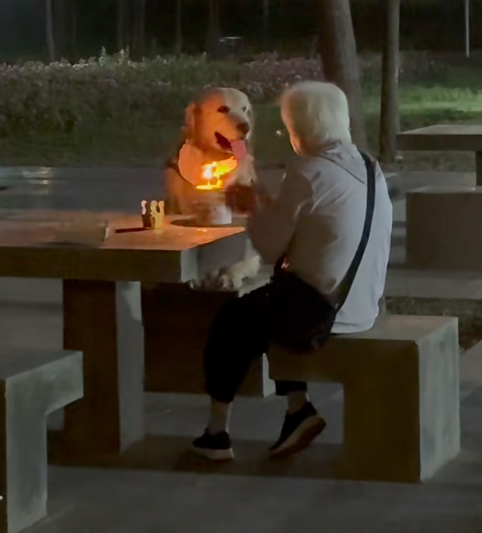 แววตาตูบเต็มไปด้วยความรัก